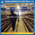 Design Low Fausto Steel Poultry Shed Chicken House Para Venda